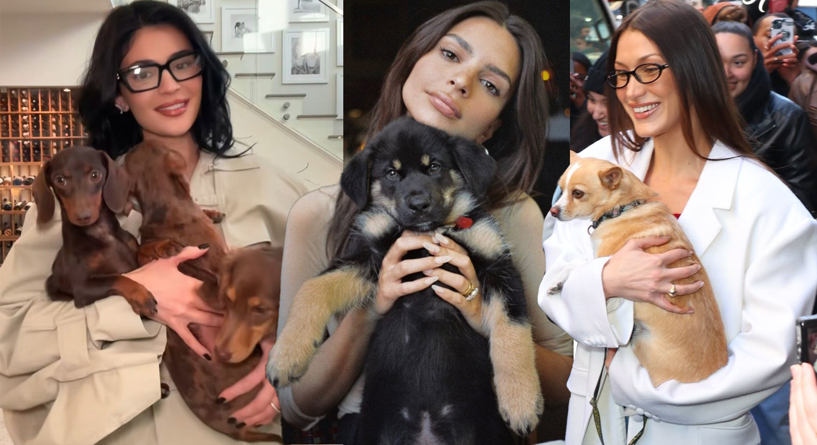 Kylie Jenner, Emily Ratajkowski en Bella Hadid met honden, illustratie van de populariteit van hondenbezit.
