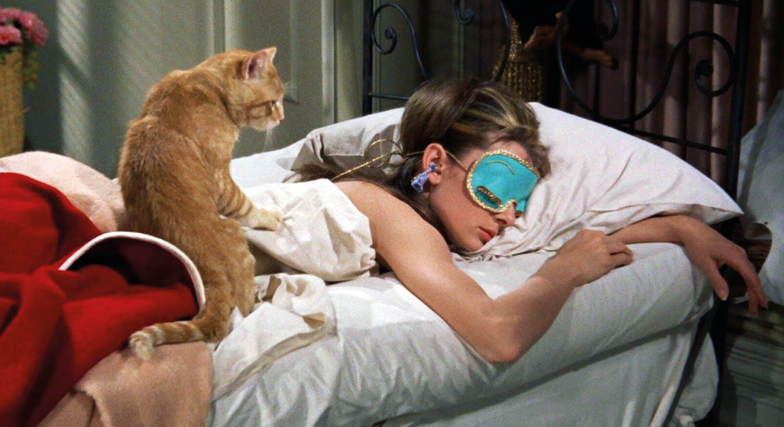 vrouw ligt in bed met een kat slapen