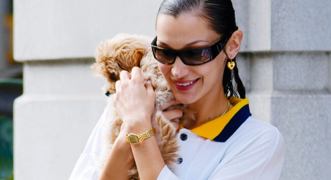 Puppy