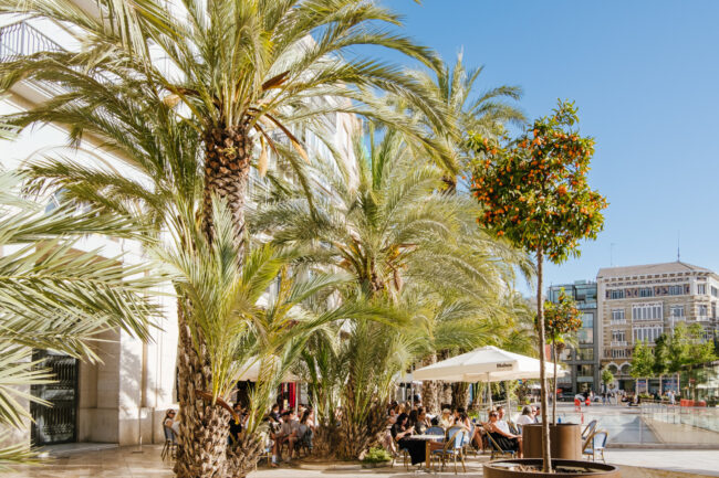 Waarom Valencia je nieuwe vakantiebestemming wordt met de hele familie