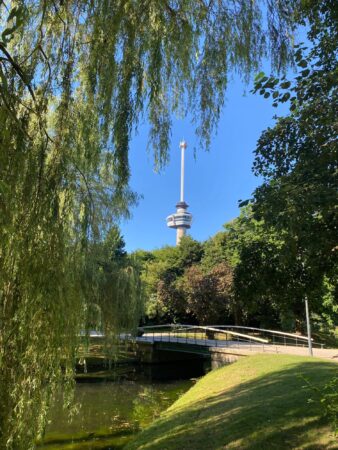 Rotterdam hotspots 