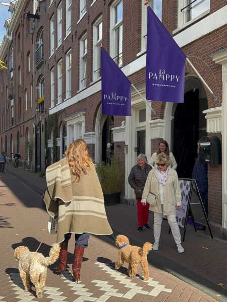 shopping image