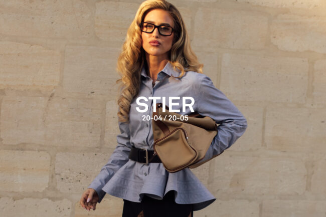 Stier
