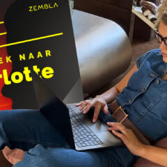 artikel beeld