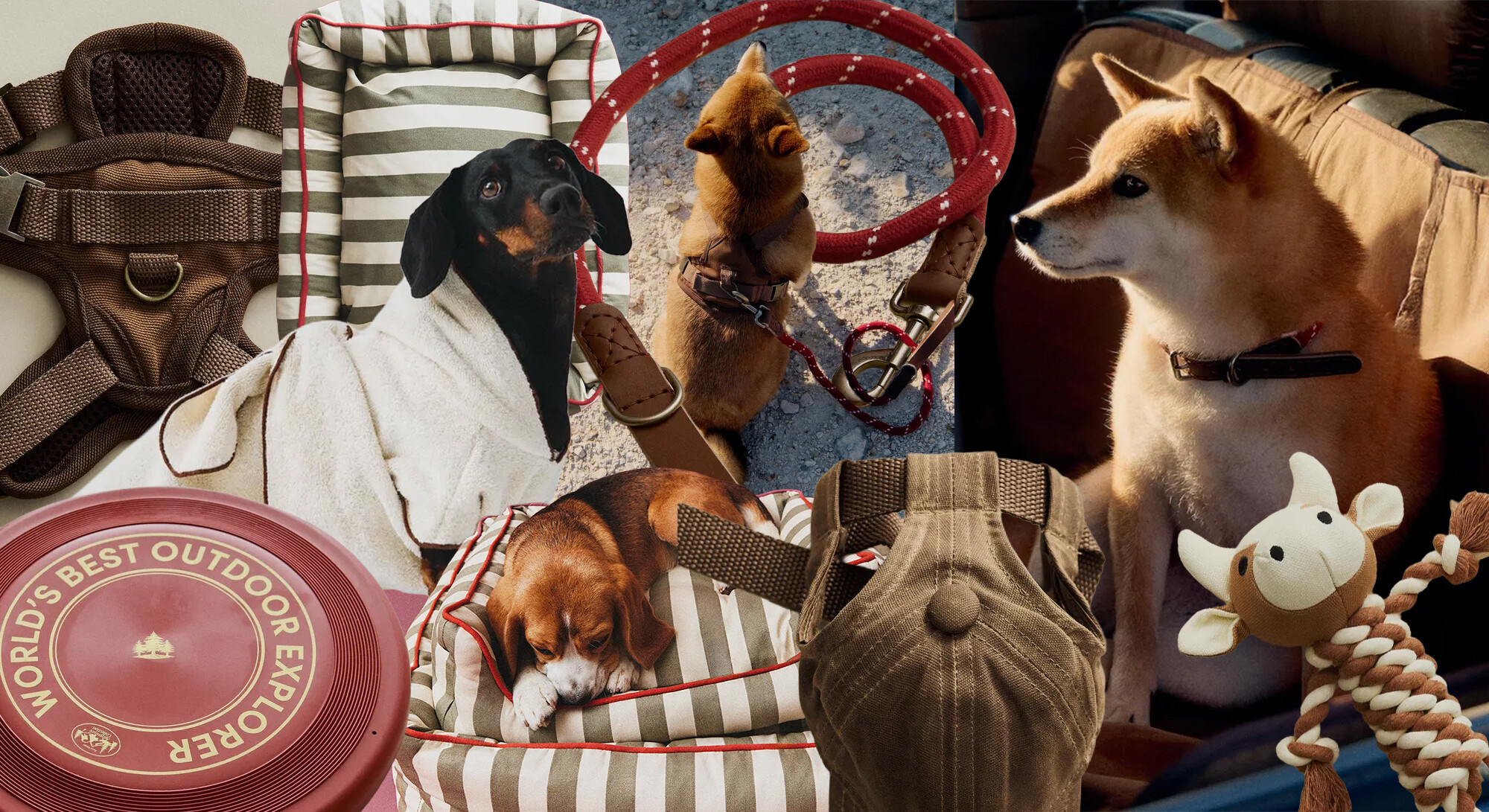 Zara Home has the cutest items for your dog again