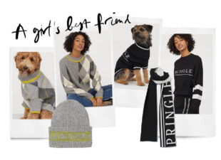 H&M maakt truien voor jou én je hond en je wil alles