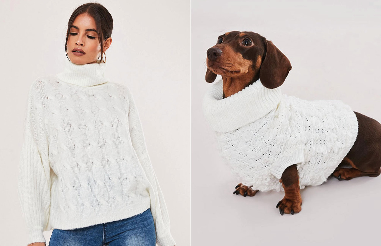 beelden van honden en mensen die matchende truien dragen