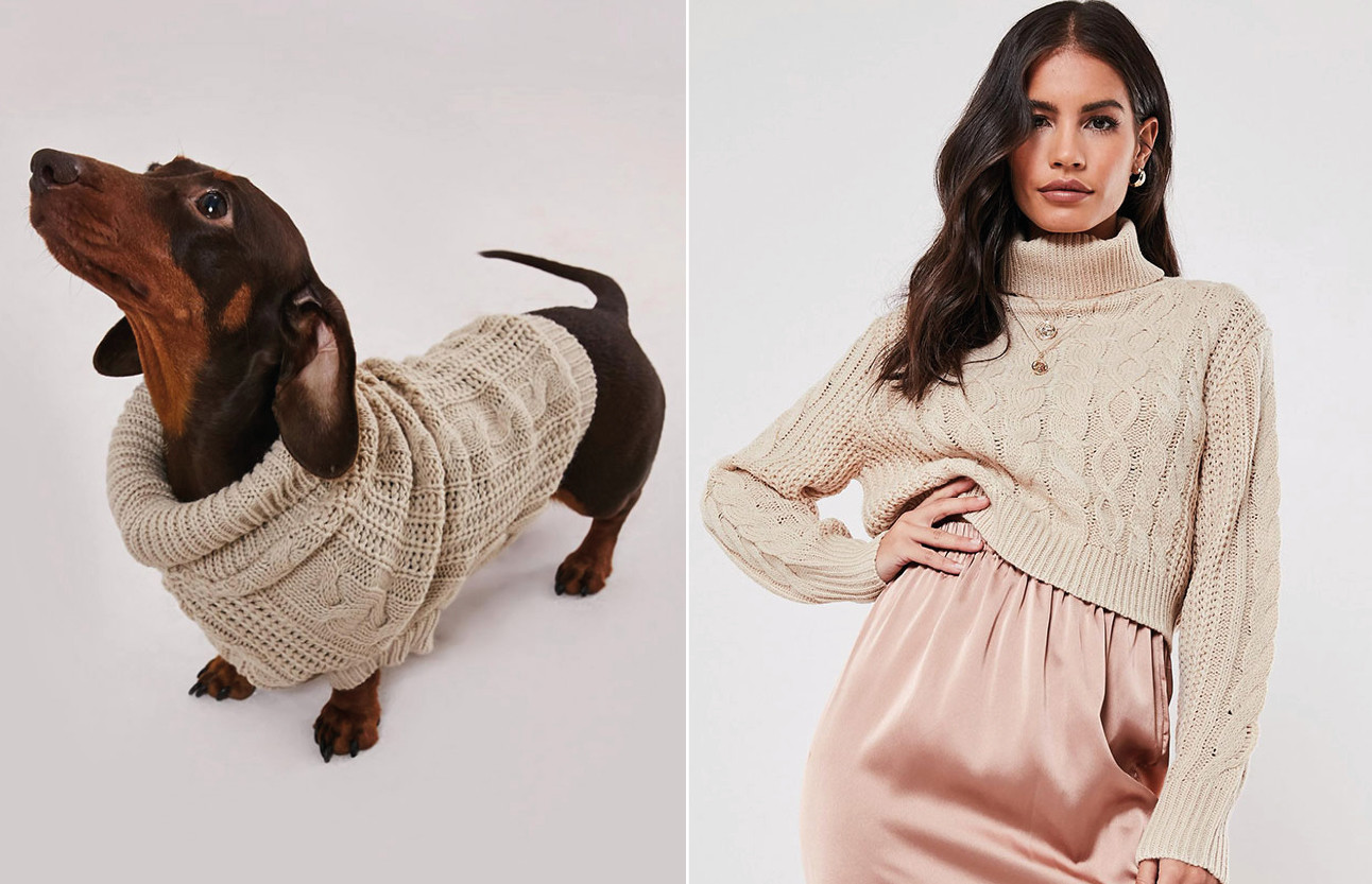 beelden van honden en mensen die matchende truien dragen