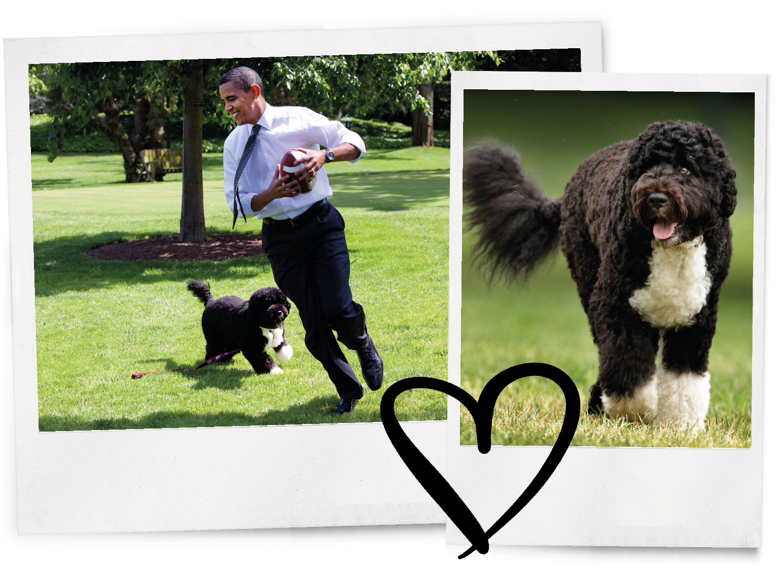 De hond van de Obama’s is overleden en Instagram rouwt