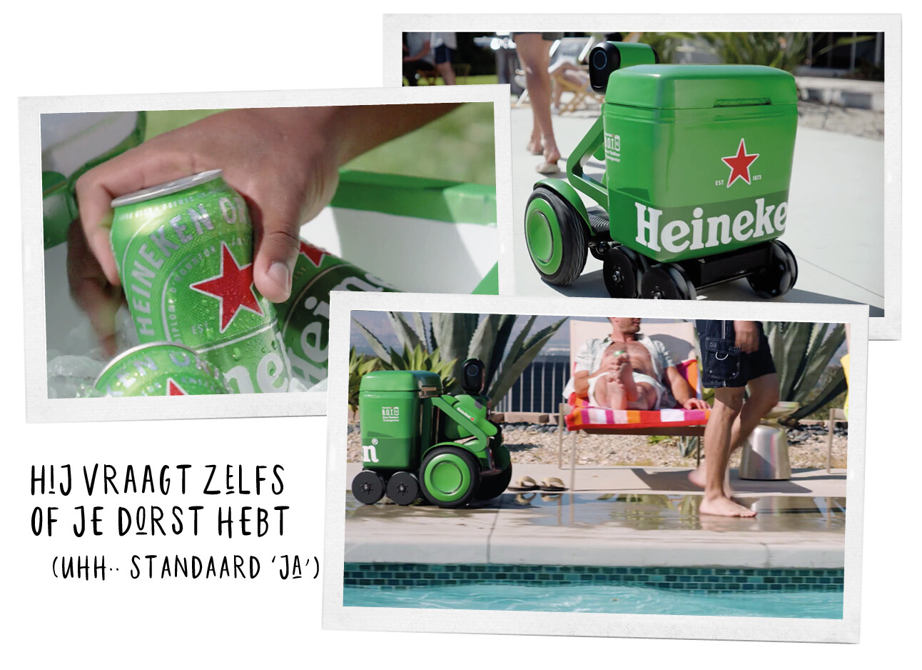 bierkoeier van Heineken B.O.T.
