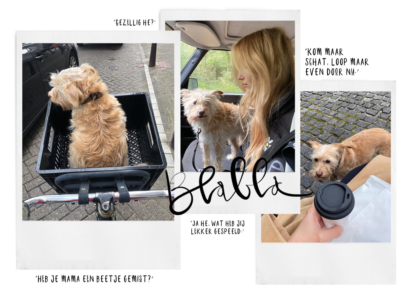 Ella met haar hond Sjaan in de auto op de fiets buiten koffie drinken
