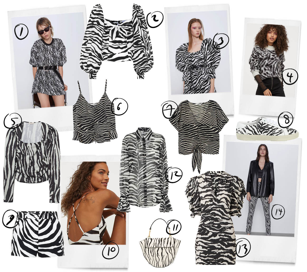 Zebra print trend