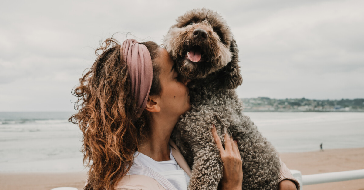 honden huilen tranen van geluk als ze worden herenigd met hun baasjes
