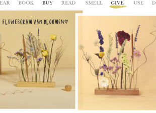 Today we give – Flowergram van Bloomon