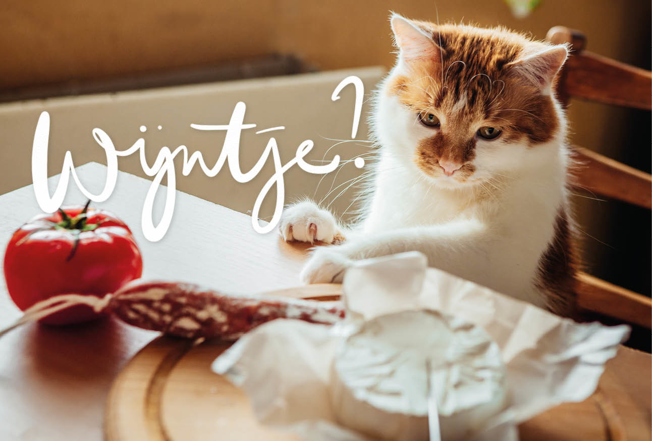 Een kat die aan tafel klimt en eten wil nemen